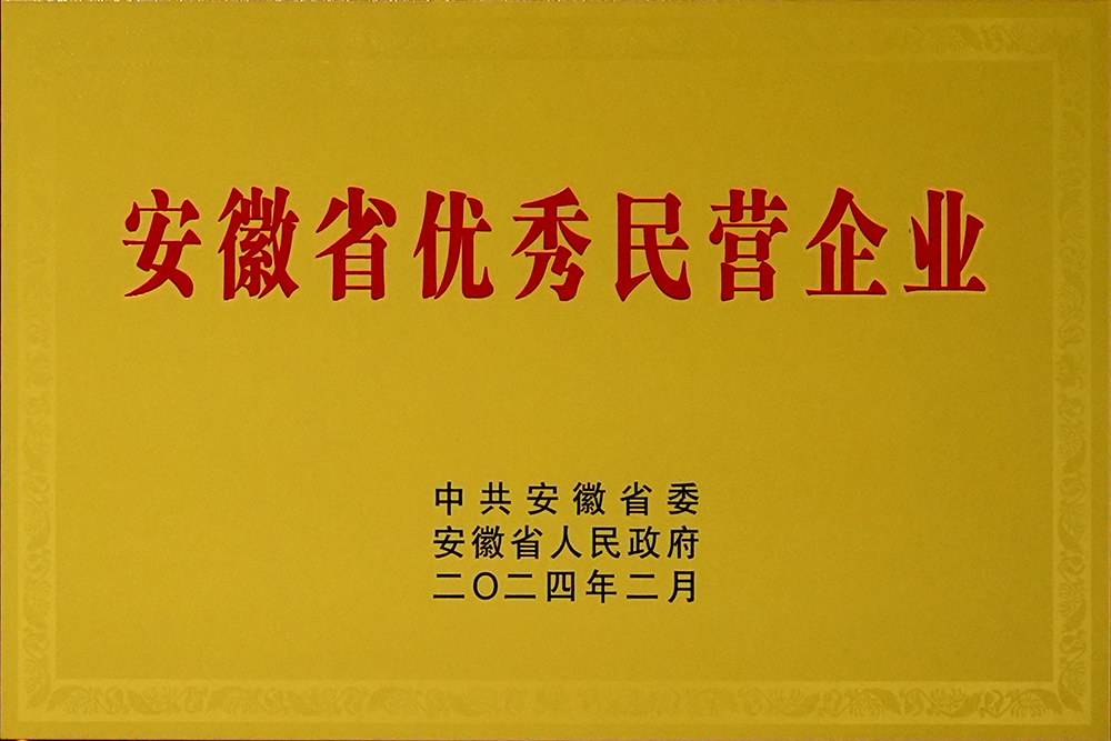 豪家股份荣获“安徽省百名优秀民营企业”称号