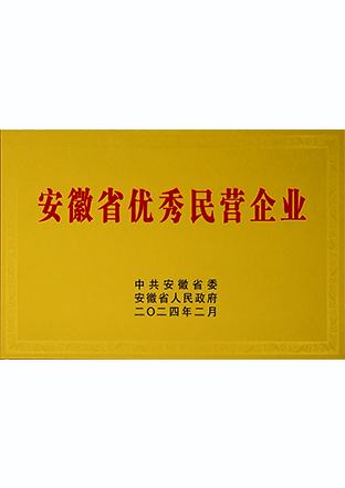 安徽省百名优秀民营企业